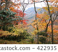 秋葉和黃色葉子和山：漢字河/小豆島 422935