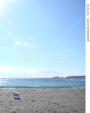 Running on a sandy beach Running on a sandy beach 423154