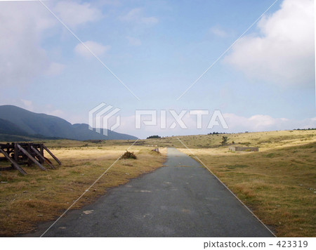Country road of Aso 423319
