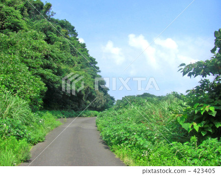Green road 423405
