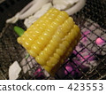 Corn 423553
