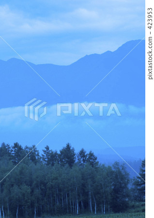 樹木和雲彩和山脈 423953