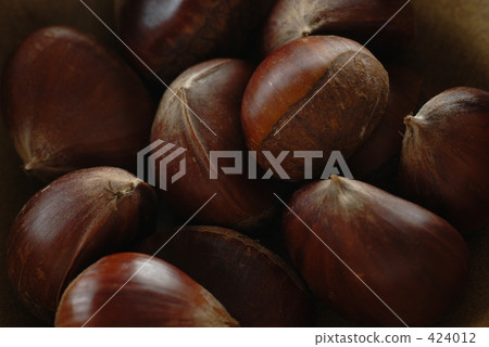Chestnut  424012