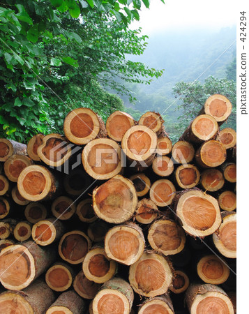 Mountain shipping place 424294