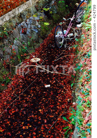 被遺棄的自行車 被遺棄的自行車 424799