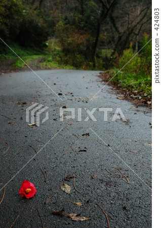 一條路 一條路 424803