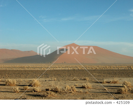 Namib Desert 425109