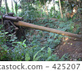 Old Japanese army battle shoot fire gun 425207