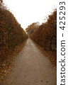 Autumn road 425293
