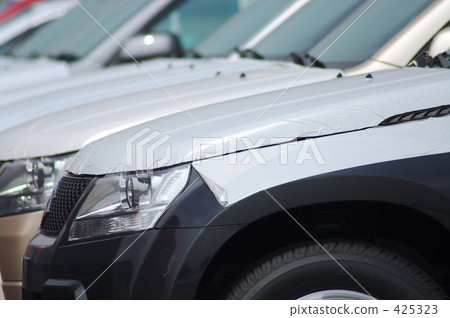 Protective sheet 425323