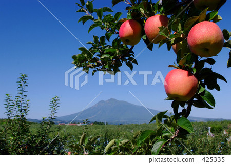 Iwaki mountain and red apple 425335