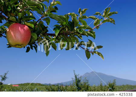 Iwaki mountain and red apple 425338