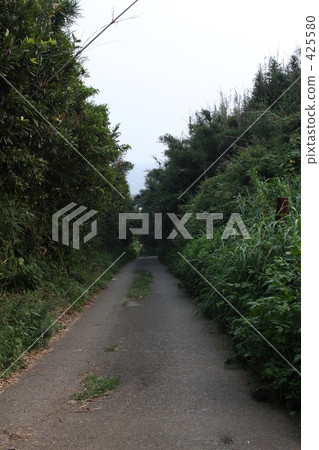 The way to the harbor 425580