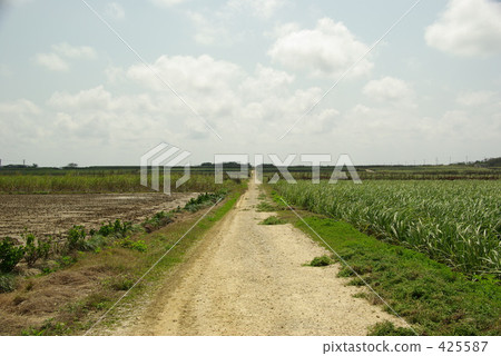 通往天空的路 425587