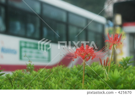 希根花的風景 425670