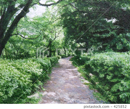Forest Road Single Road Promenade Forest Road Single Road Promenade 425852