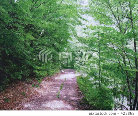 林道路邊路山路攀登路 425868