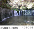 Shiraito Falls 426046