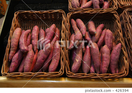 Sweet potato 426394