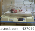 Birth of a baby 427049