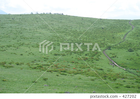 梅多 梅多 427202