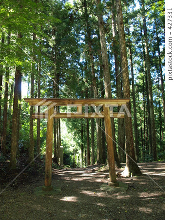 Sakura living in the torii 427331