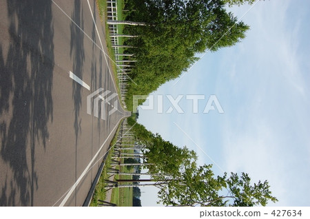 鋪成的道路···綠樹成蔭的大道 427634