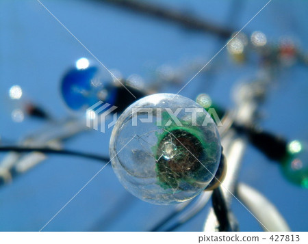 電燈泡 427813