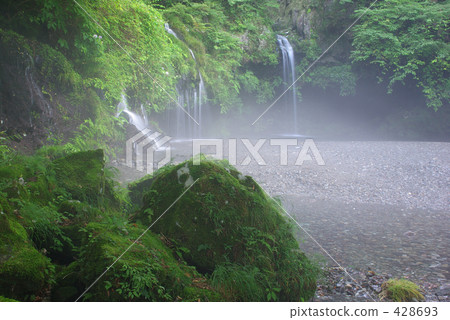 Morning mist horses horse waterfall Morning mist horses horse waterfall 428693