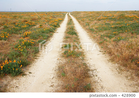 California · Poppy Road 428900