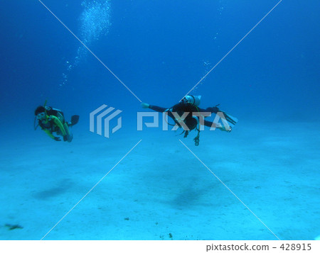 diving diving 428915