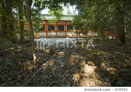 Shimogamo神社 Shimogamo神社 429562