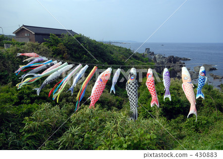 飄揚的旗幡 鯉魚旗 新潟縣 430883