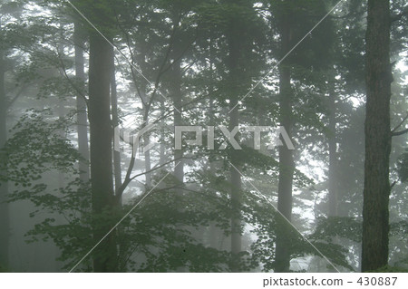 農村場景 鄉村風光 非都會區 430887