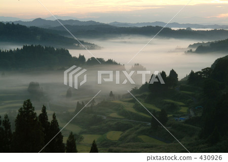 rural scene, rural landscape, paddy field 430926