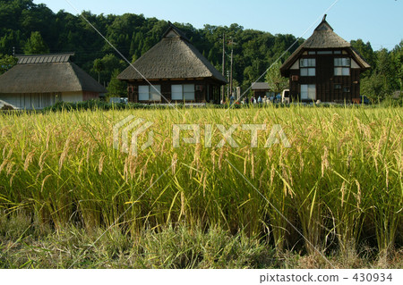 rural scene, rural landscape, thatched roof 430934