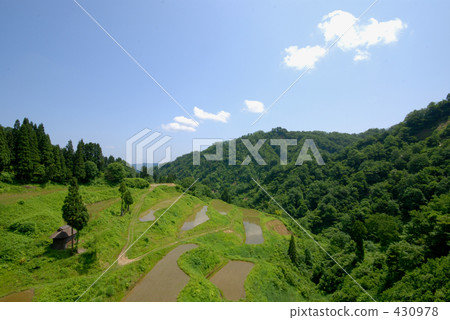 農村場景 鄉村風光 稻田 430978