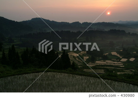 稻田 農村場景 鄉村風光 430980