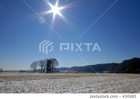 稻田 農村場景 鄉村風光 430985