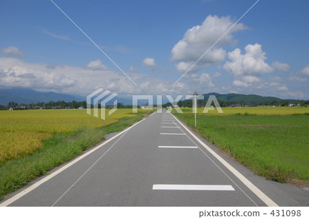 農村場景 鄉村風光 稻田 431098