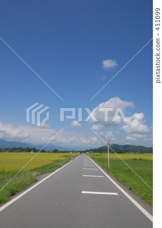 農村場景 鄉村風光 稻田 431099