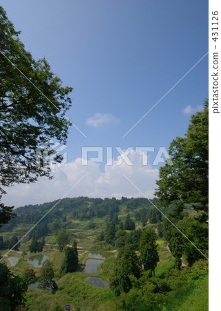 農村場景 鄉村風光 稻田 431126
