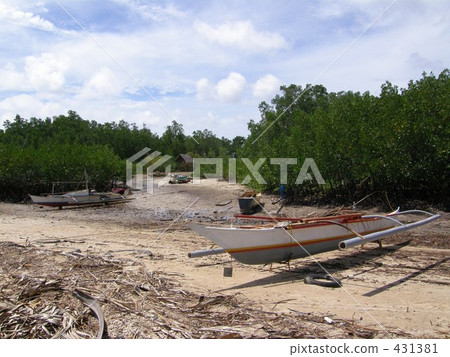 Bohol Island Beach bohol island 431381