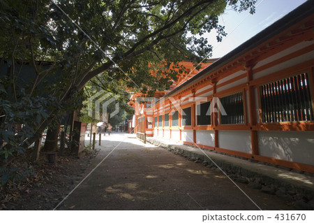 Shimogamo神社門 Shimogamo神社門 431670