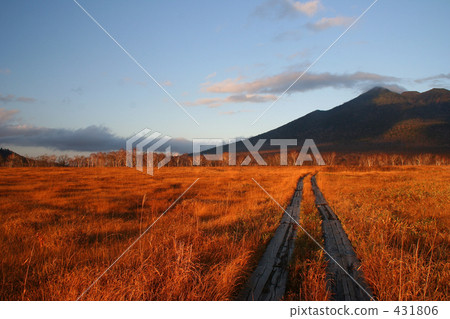 Autumn Oze Autumn Oze 431806