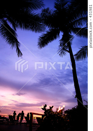 Palm tree and sunset Palm tree and sunset 431981