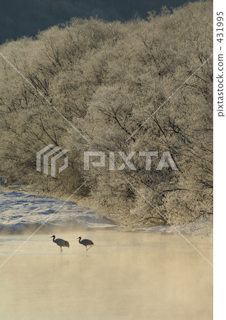 Men of the morning mist 431995