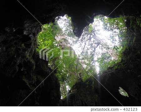 屋久島威爾遜分享 432123