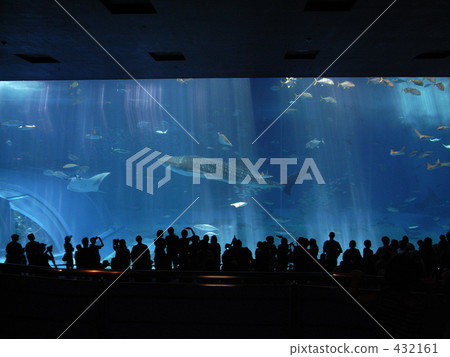 Churaumi Aquarium Churaumi Aquarium 432161