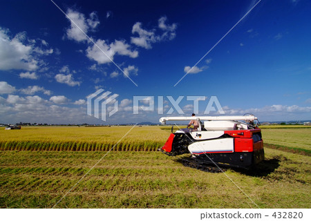 卓有成效的秋天 卓有成效的秋天 432820